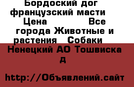 Бордоский дог ( французский масти)  › Цена ­ 50 000 - Все города Животные и растения » Собаки   . Ненецкий АО,Тошвиска д.